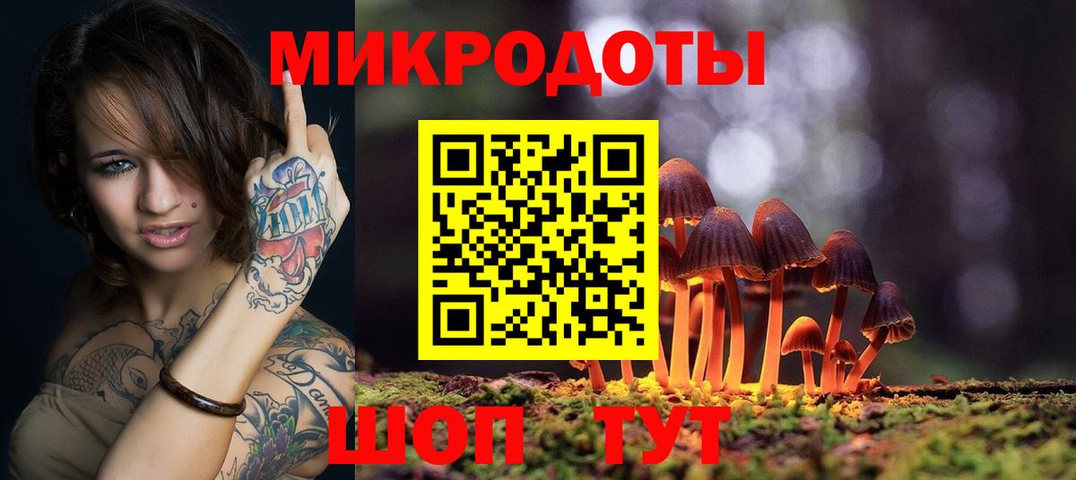 Псилоцибиновые грибы Psilocybine cubensis Братск