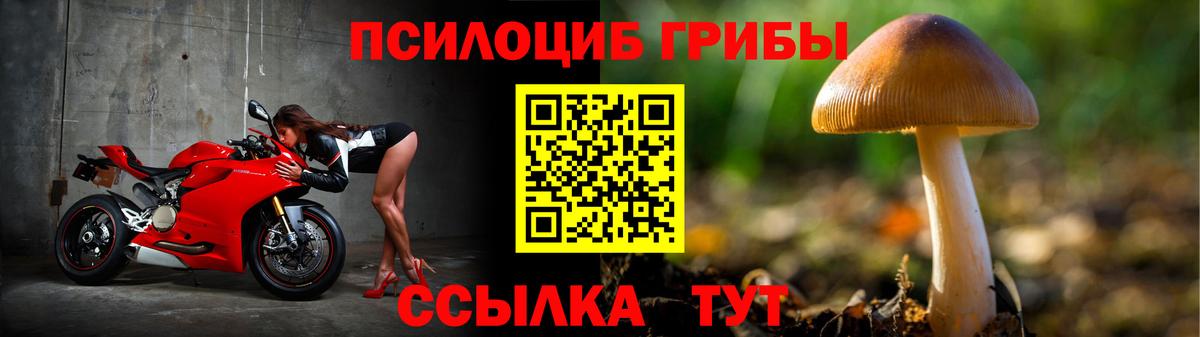 Братск  Галлюциногенные грибы MAGIC MUSHROOMS  Вход с VPN 
