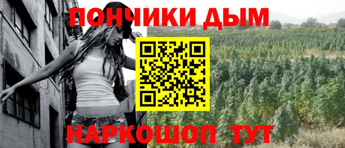 Каннабис конопля Братск